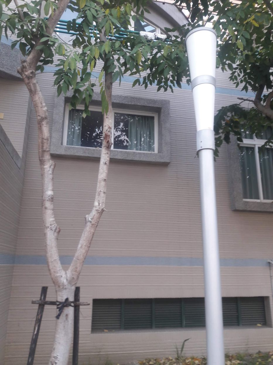 高雄新莊高中