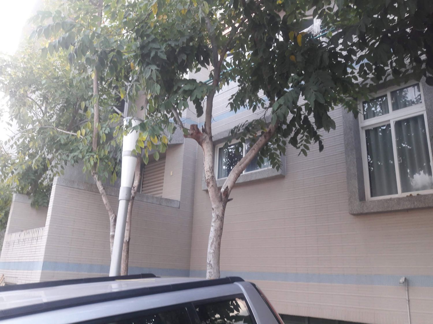 高雄新莊高中